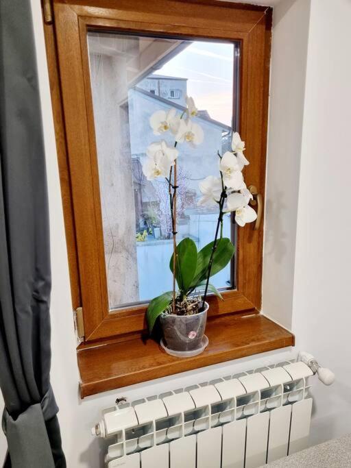 Cozy Apartment Near City Center Bucharest Luaran gambar